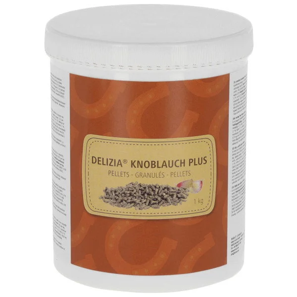 fundis-equestrian202607250133333303727