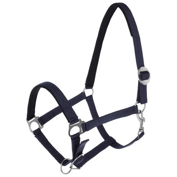 fundis-equestrian202607250134203303799