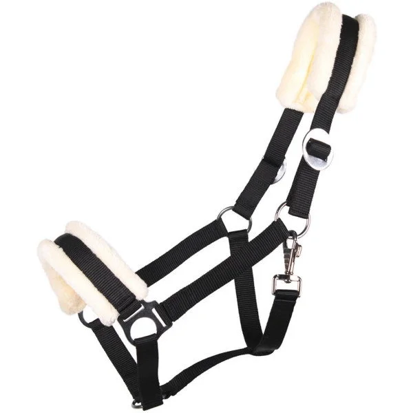fundis-equestrian202607250135243303900