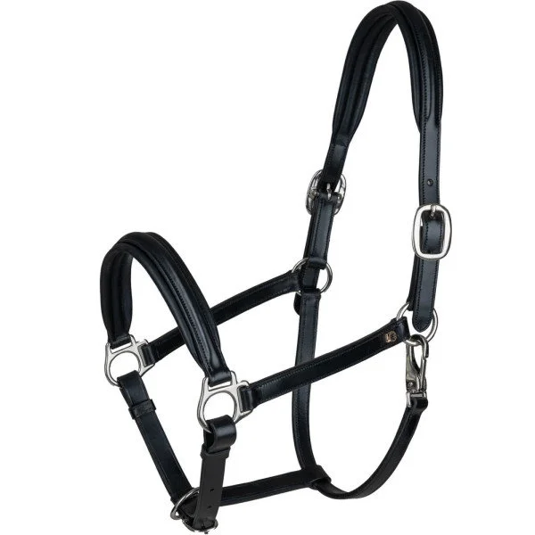 fundis-equestrian202607250138283304264