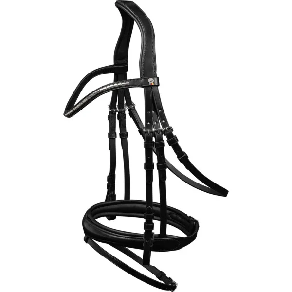 fundis-equestrian202607250138303304268