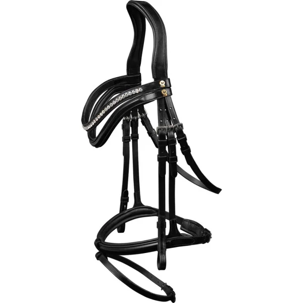 fundis-equestrian202607250138323304272
