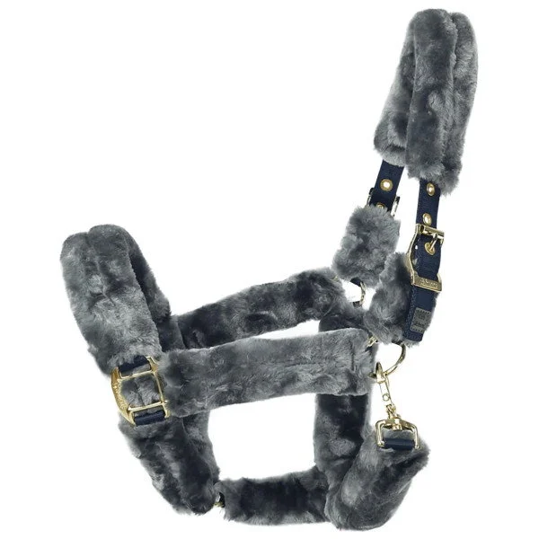 fundis-equestrian202607250139003304329