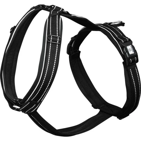 fundis-equestrian202607250142233304684
