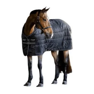fundis-equestrian202607250142363304706