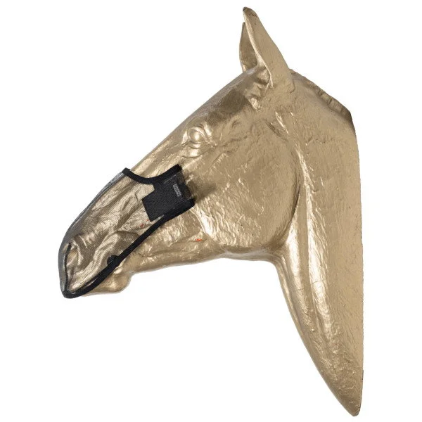 fundis-equestrian202607250149123305363