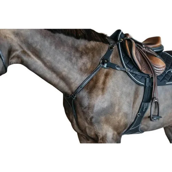 fundis-equestrian202607250150183305476