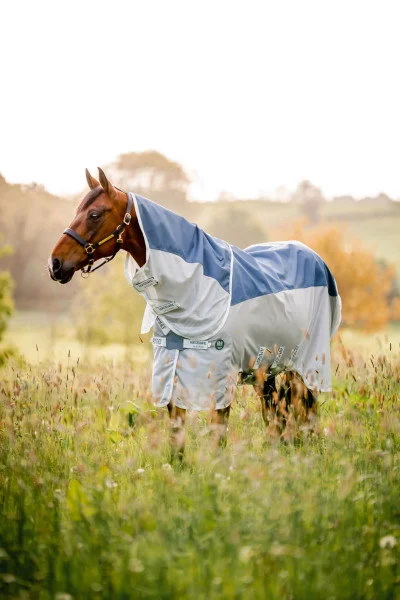fundis-equestrian202607250151263305614