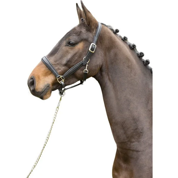 fundis-equestrian202607250154483306018