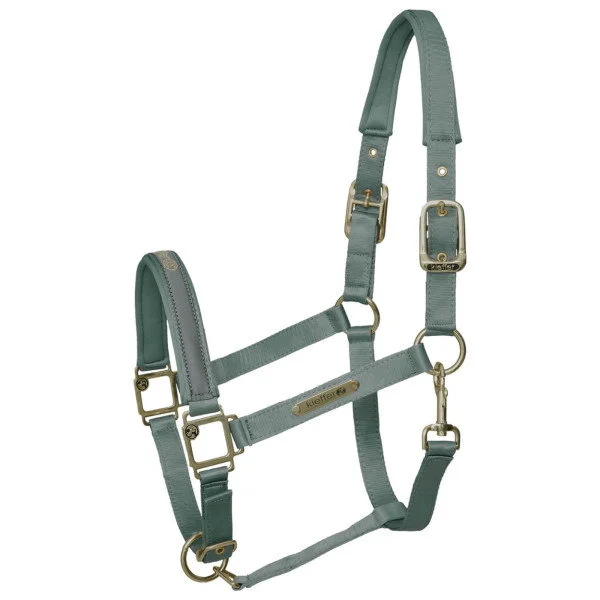 fundis-equestrian202607250155533306146