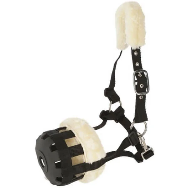 fundis-equestrian202607250156493306263