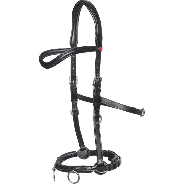 fundis-equestrian202607250157313306346