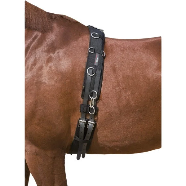 fundis-equestrian202607250158103306428
