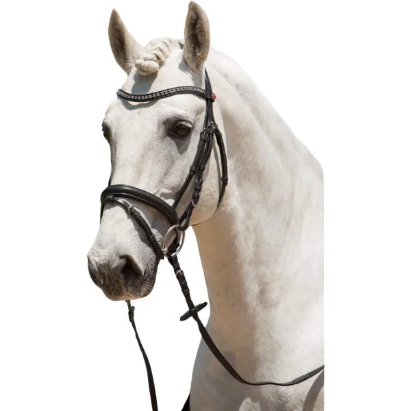fundis-equestrian202607250202443306977
