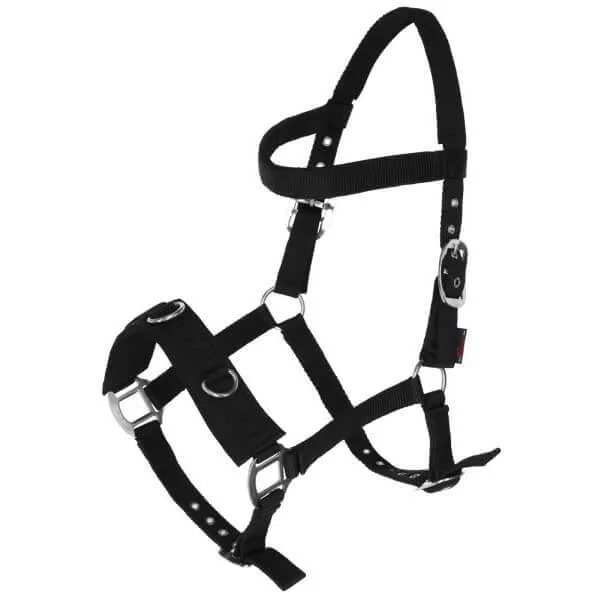 fundis-equestrian202607250204233307167