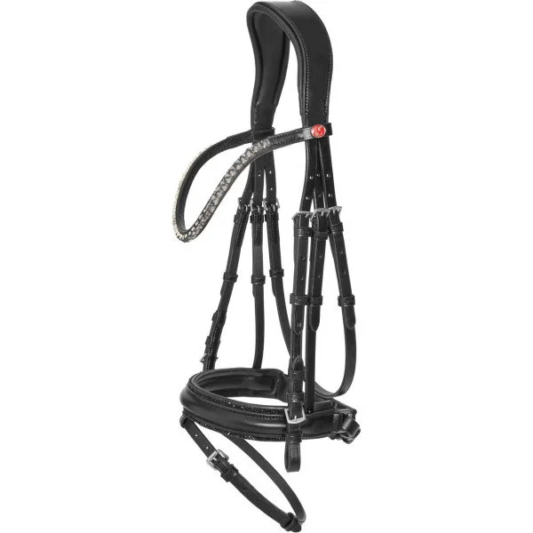 fundis-equestrian202607250204333307188