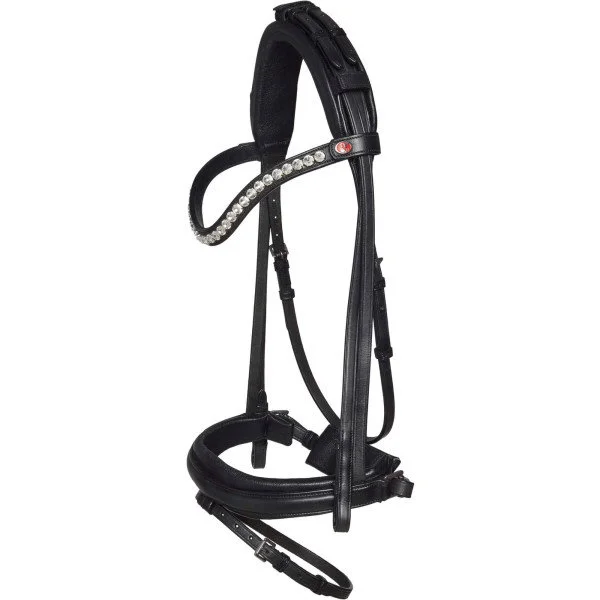 fundis-equestrian202607250204423307206