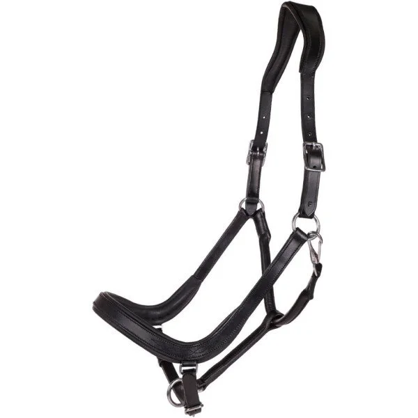 fundis-equestrian202607250205253307301