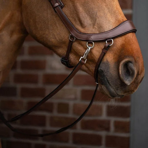 fundis-equestrian202607250205383307331