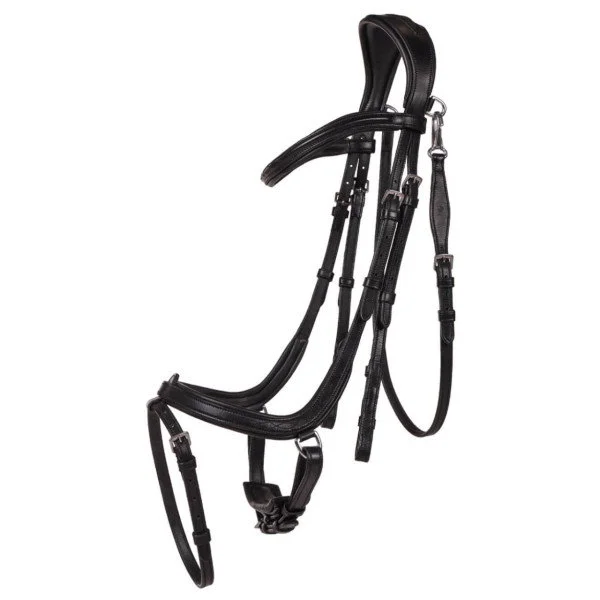 fundis-equestrian202607250205493307353