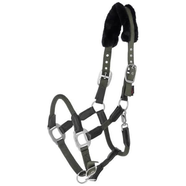 fundis-equestrian202607250206083307393