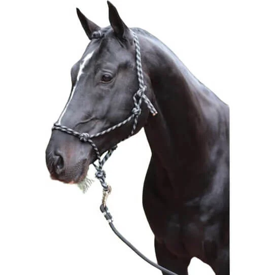 fundis-equestrian202607250206123307407