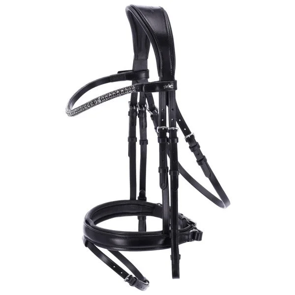 fundis-equestrian202607250208343307668