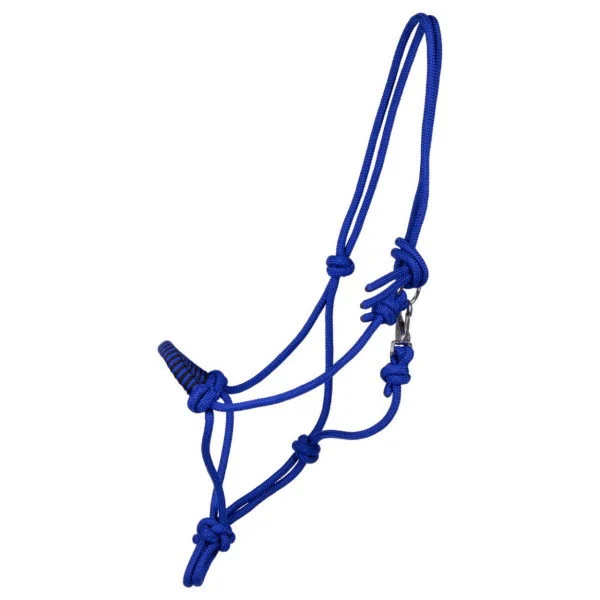 fundis-equestrian202607250210163307858