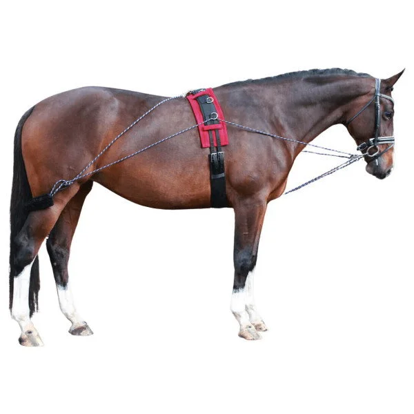 fundis-equestrian202607250213443308248