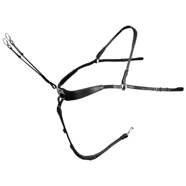 fundis-equestrian202607250216243308510