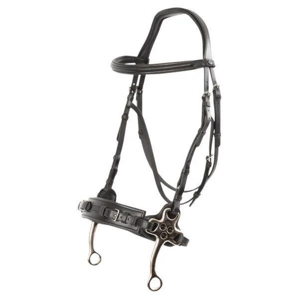 fundis-equestrian202607250217093308568