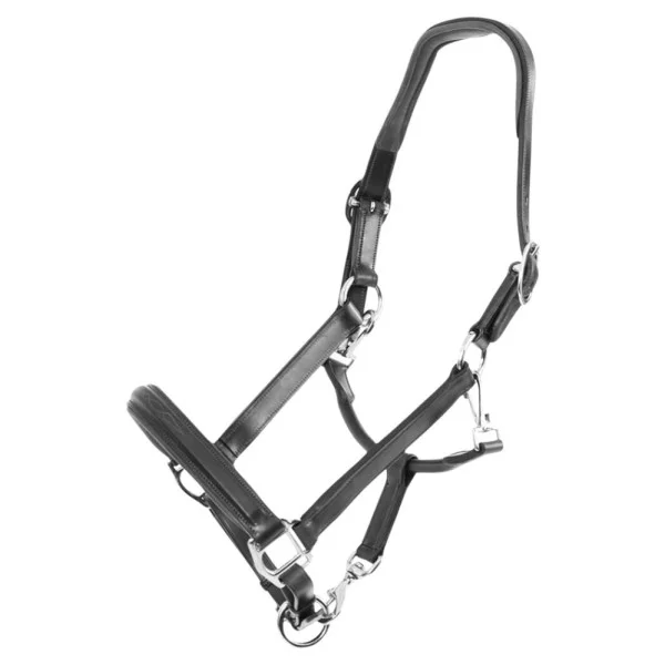 fundis-equestrian202607250218593308727
