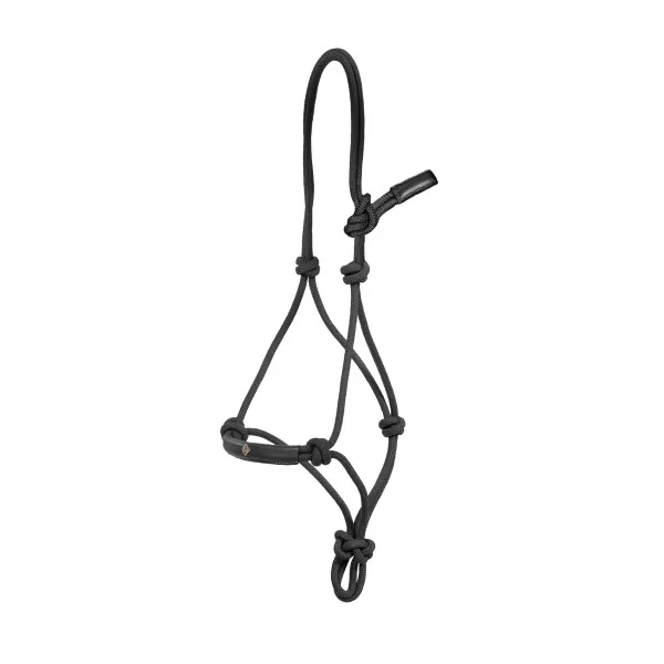fundis-equestrian202607250220383308862