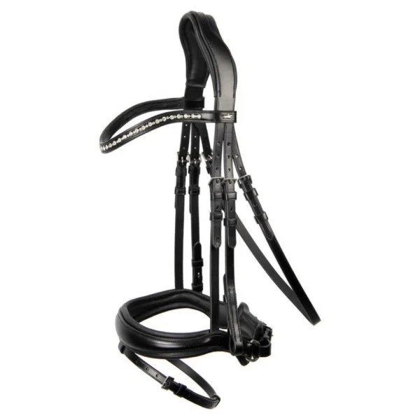 fundis-equestrian202607250221413308943
