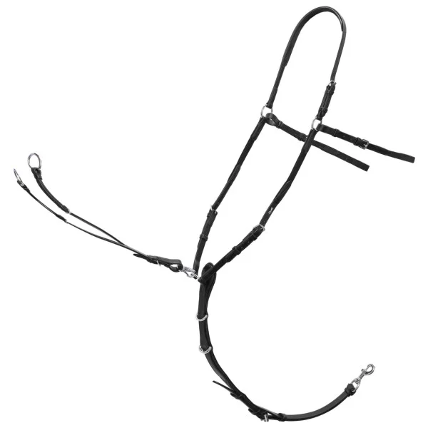 fundis-equestrian202607250222493309051