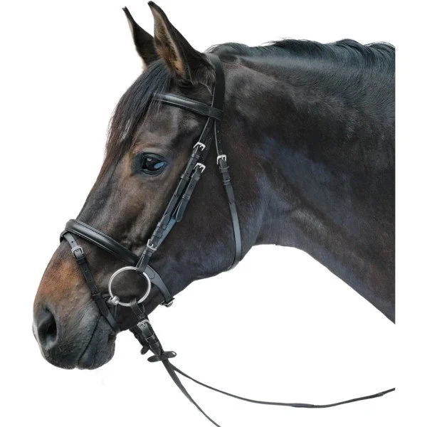 fundis-equestrian202607250224533309257