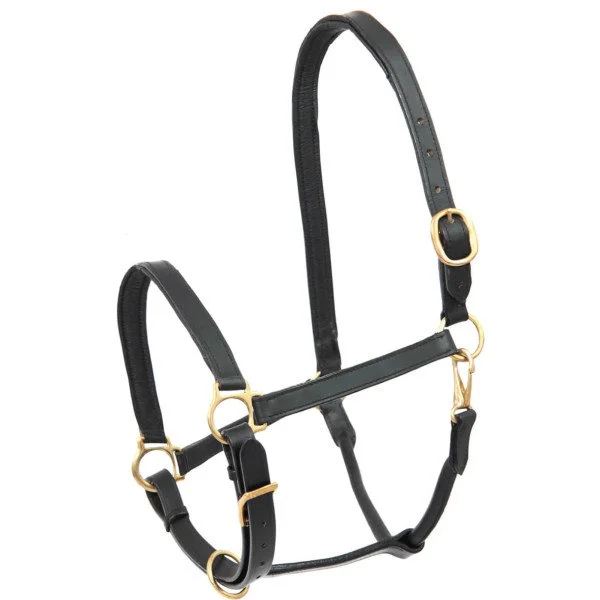 fundis-equestrian202607250225053309280
