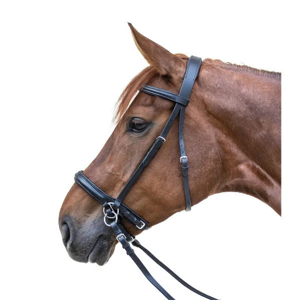 fundis-equestrian202607250226053309393