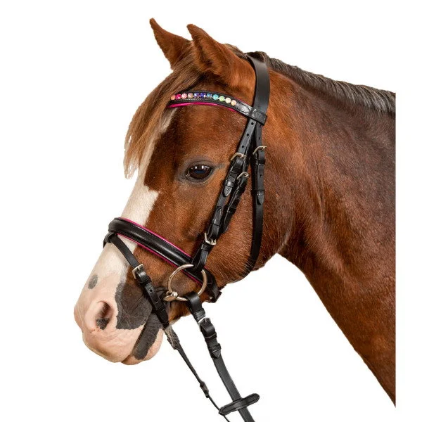 fundis-equestrian202607250226403309461