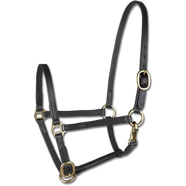 fundis-equestrian202607250227113309510