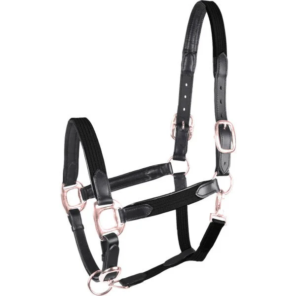 fundis-equestrian202607250227183309525