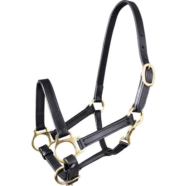fundis-equestrian202607250227203309529