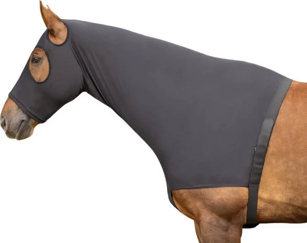 fundis-equestrian202607250227553309590