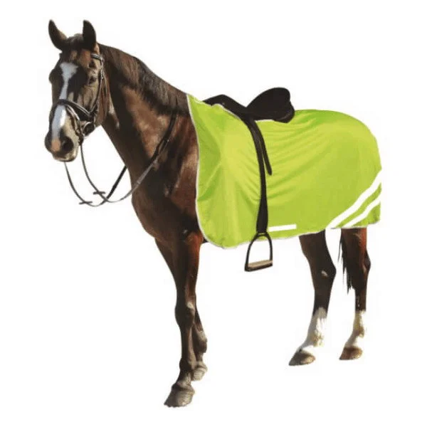 fundis-equestrian202607250228203309634