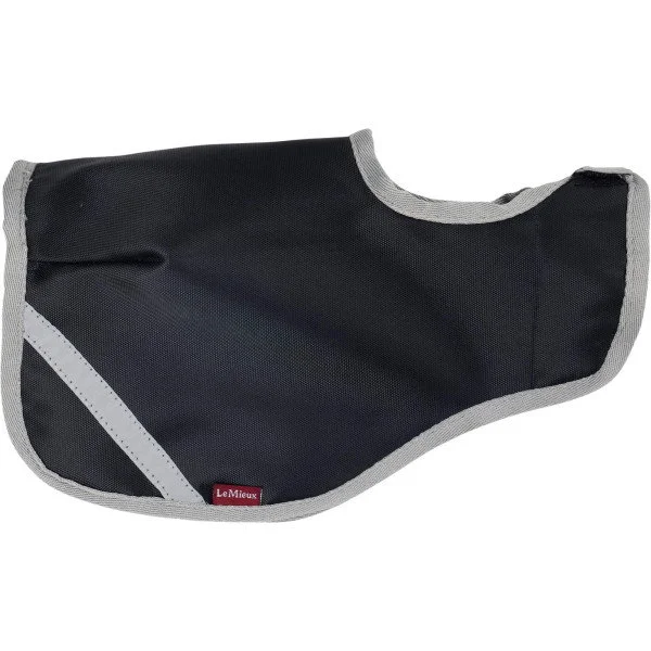 fundis-equestrian202607250229463309769