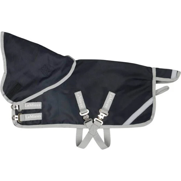 fundis-equestrian202607250229543309782