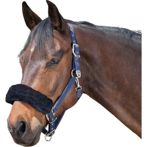 fundis-equestrian202607250230183309819