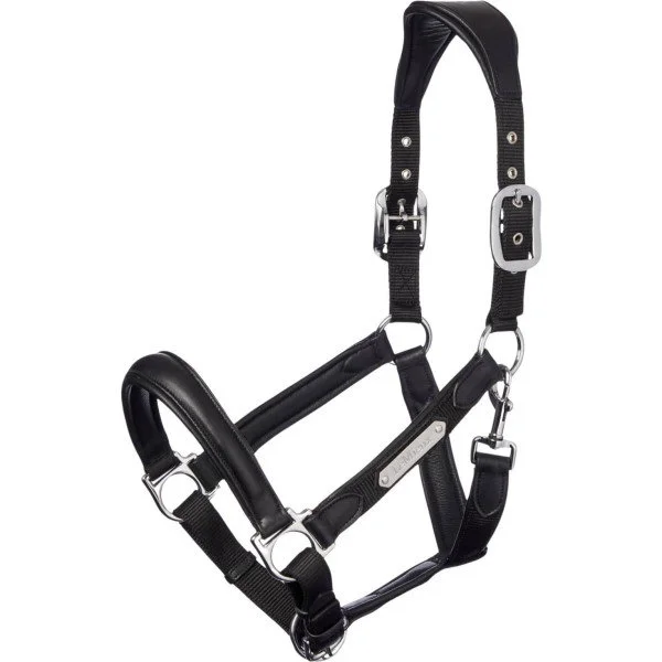 fundis-equestrian202607250231143309913