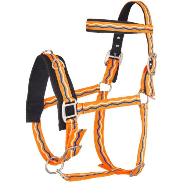 fundis-equestrian202607250231583309987