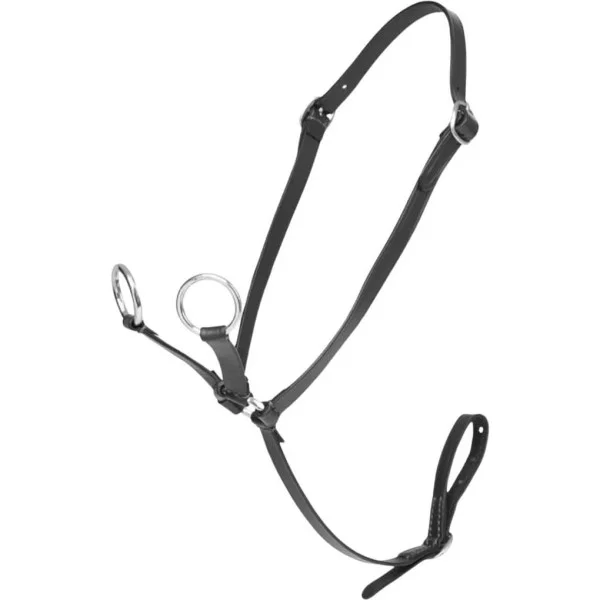 fundis-equestrian202607250232573310068